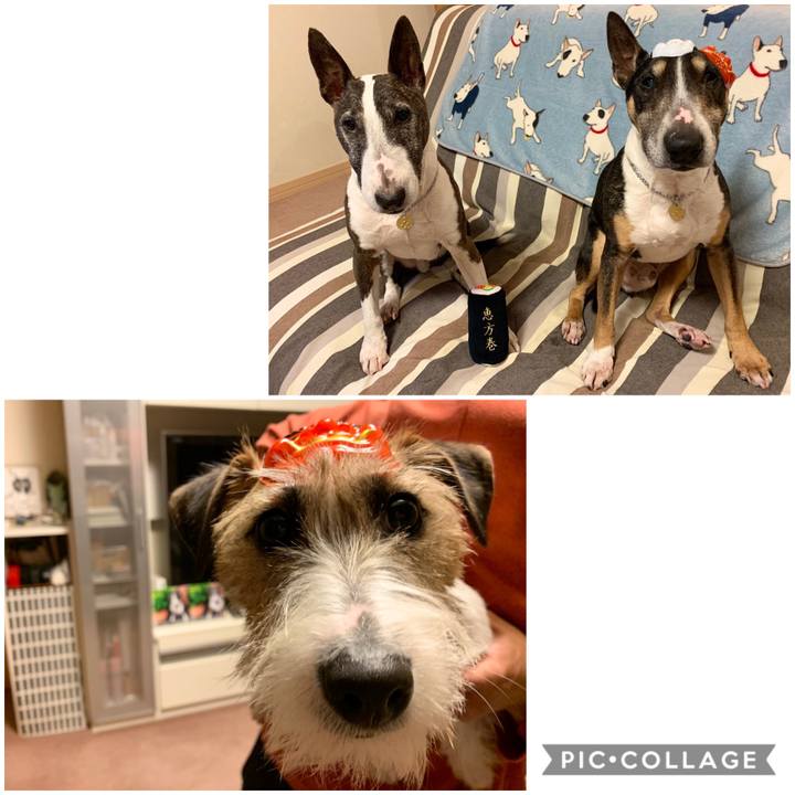 4b294305 811a 4724 8b0f 194378efb24b 1580736223719