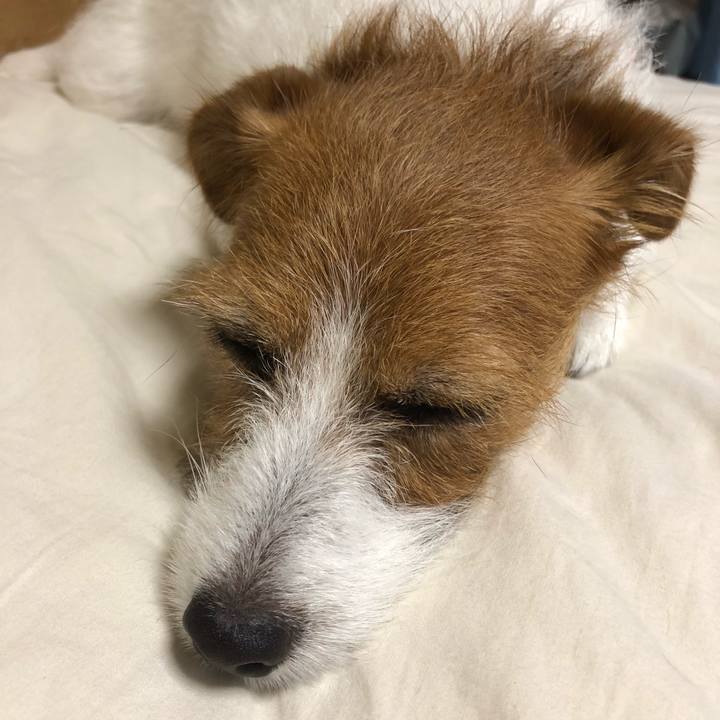 4b298f76 55d0 4a67 9cb3 65914ba95e1b 1538819753582