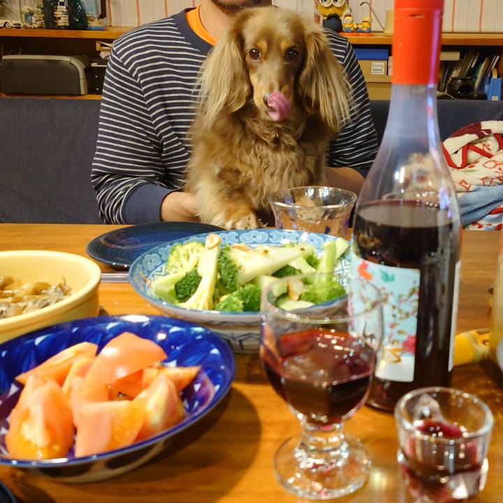 4b29eb68 2b46 4d90 97b9 ffc98db6426b 1700317021281