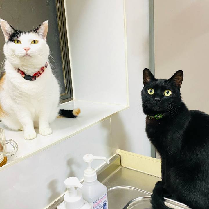 4b29ec9d 4589 4c70 8f2f 3c89494b4493 1700483705801