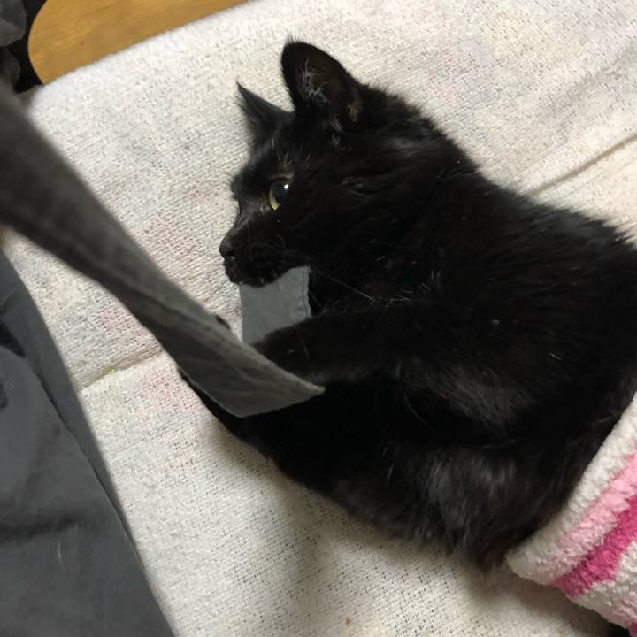 4b2a0427 78ed 4b14 baf7 676b2c2e5f70 1610544939177