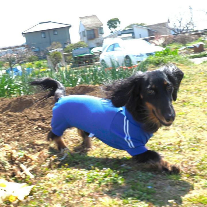 4b2a0ea2 3bd1 458e a7cf 0dc6badc030b 1553058496690