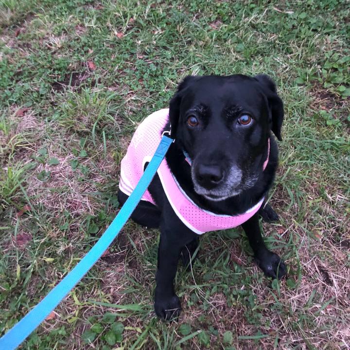 4b2a1b31 af32 4096 997f 9a291b5f73ef 1539612866784