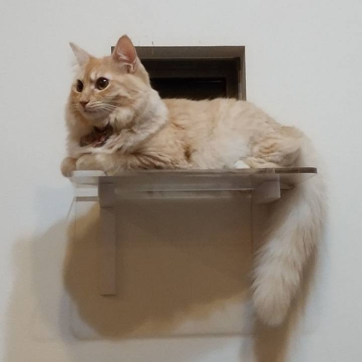 4b2a5424 9bf5 48b9 bdd6 15c9b2f5e386 1635426965758