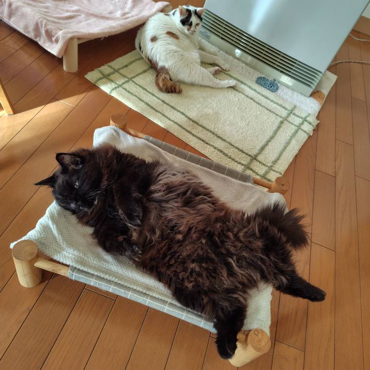 4b2a5957 da71 498c ab8f 357a20d9b118 1739490177556