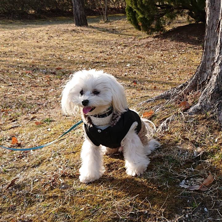 4b2a5c92 e5c5 43b4 9555 dd6251ece33f 1583109799935