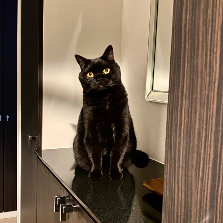 4b2a6b86 21c2 4e59 930f 2d0a40d6429b 1731154534660