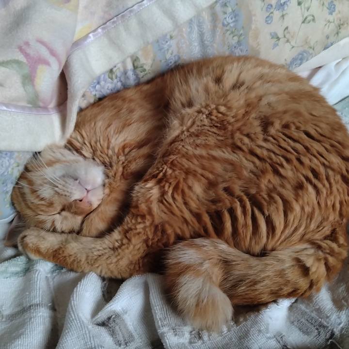 4b2a95f6 f83a 40e6 9efd b1c19374b5a7 1688790101446