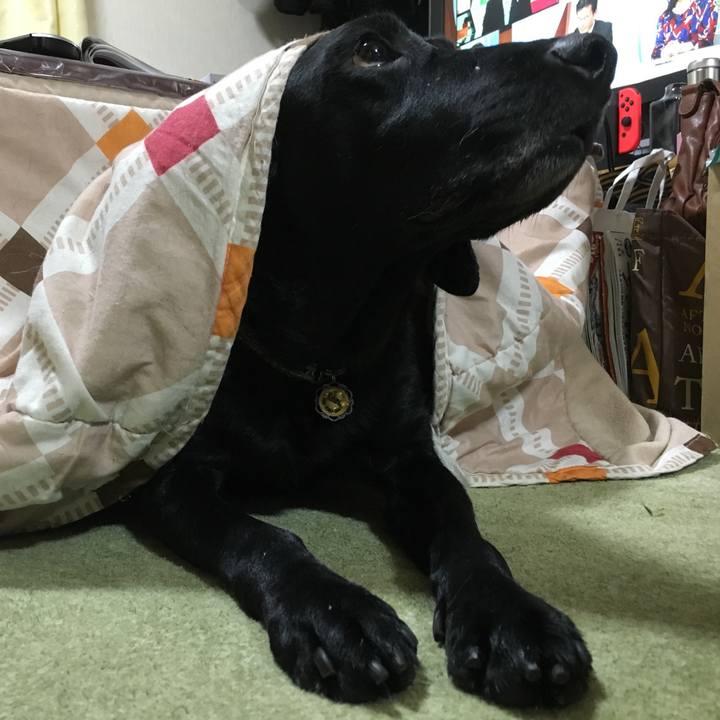 4b2ac46f cb4a 43f9 a377 144dcd9b5e9a 1515224774270