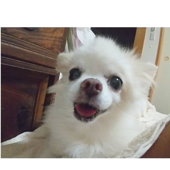 4b2ac691 dcea 4e25 bbfb 886f2cf39d3f 1659614380116