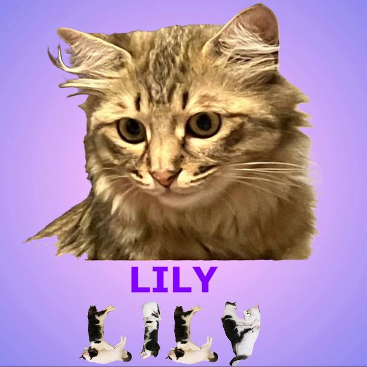 4b2b3527 9e7d 40b1 aef9 6c1102bd9afc 1667778772650