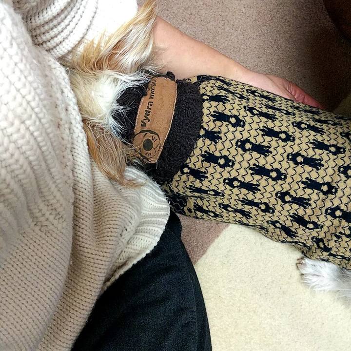 4b2b3fa0 22ac 4e36 8b48 d842b1fda67b 1577601229163