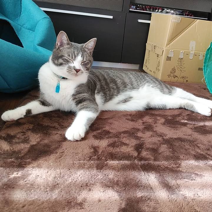 4b2b5684 a18d 4b6c ab2f 3e35a549b708 1579577804508