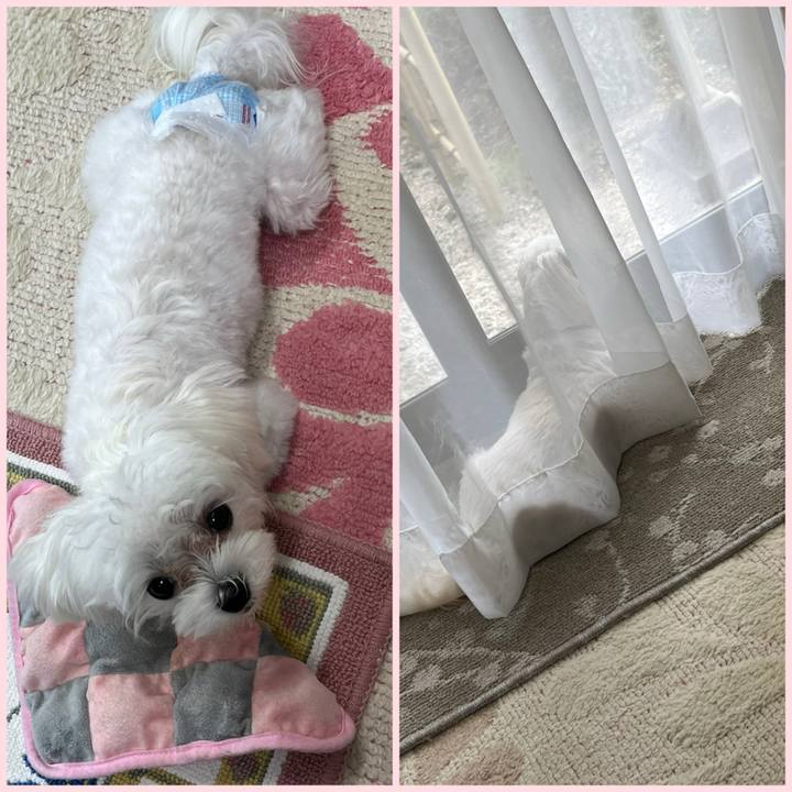 4b2bc3c0 edf9 474d aa38 a91ed6b2a6f3 1724827960774