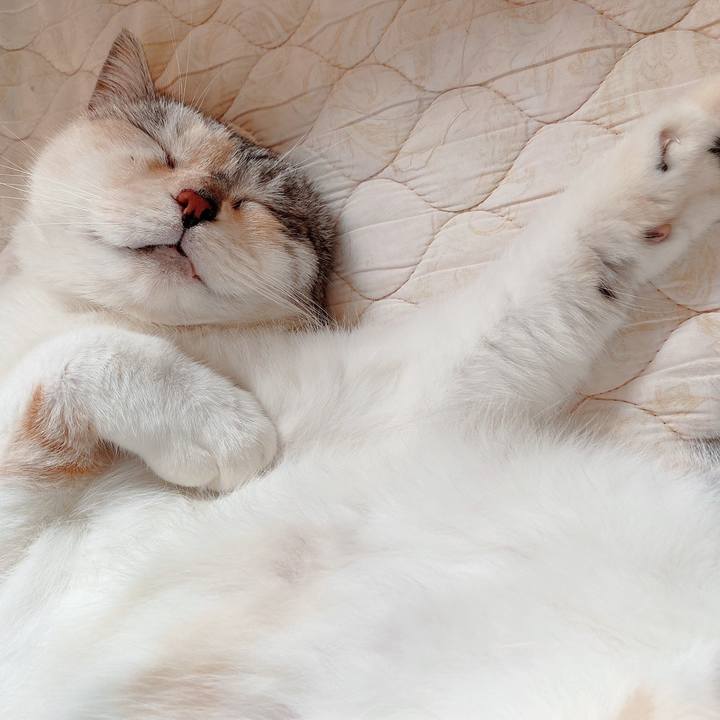 4b2bc55c 9095 498c bafa fb57c6fcc707 1595205567039