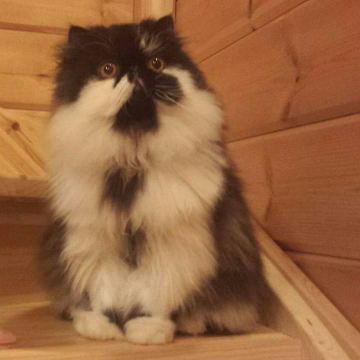 4b2be490 4109 428e bf69 e3a4b5807c19 1512131279366