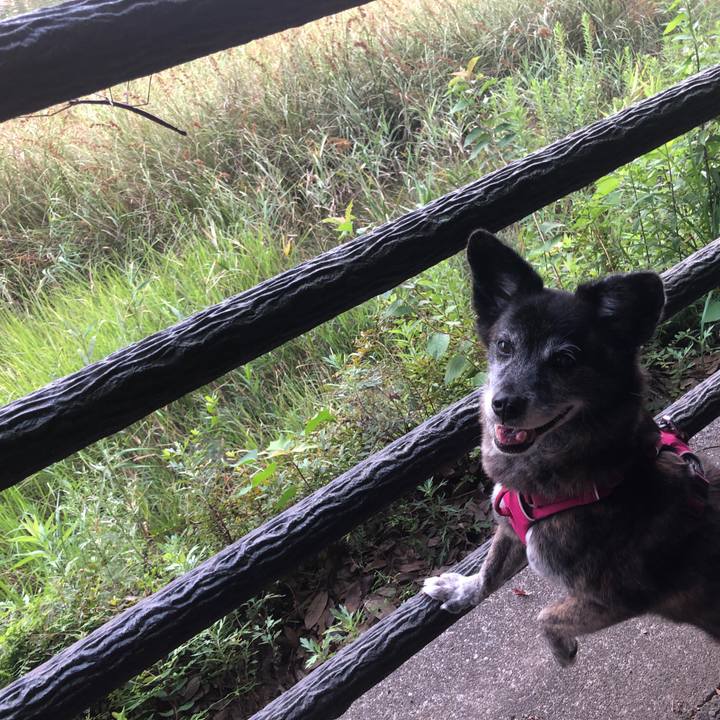 4b2be495 d140 49a4 94ea 4a1c41a9f581 1690585419207