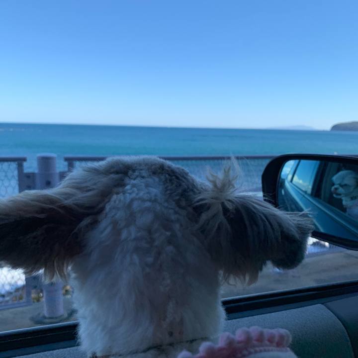 4b2bf29c 9841 4c0a 8382 2badb62d7db2 1583998053082