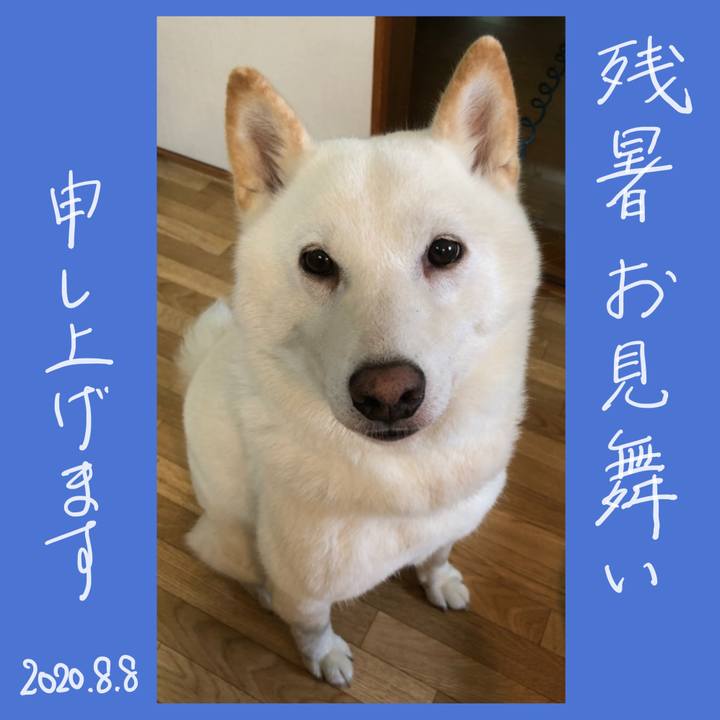 4b2c07f7 5df0 45b0 b7fc 0b5412485720 1596840422631