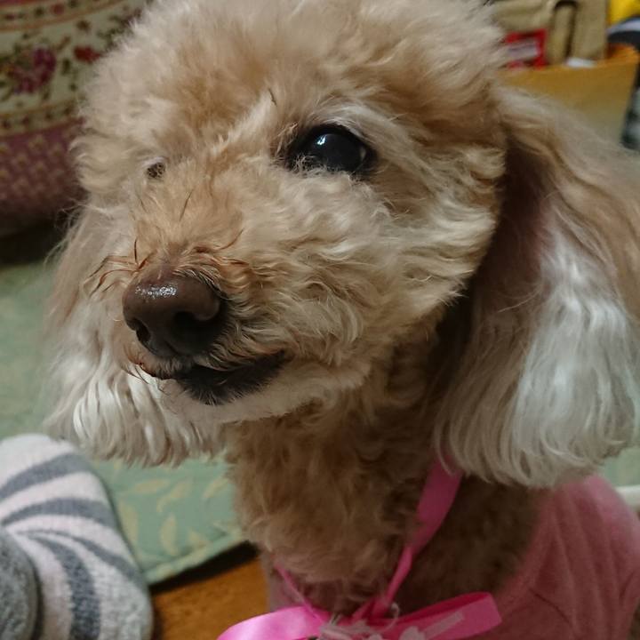 4b2c113e 7cdd 49a8 bbd2 cc2df35330f0 1586771735871