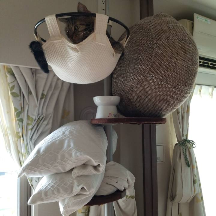 4b2c2f3a 2763 463a abc3 27d5e1e09454 1567897037511