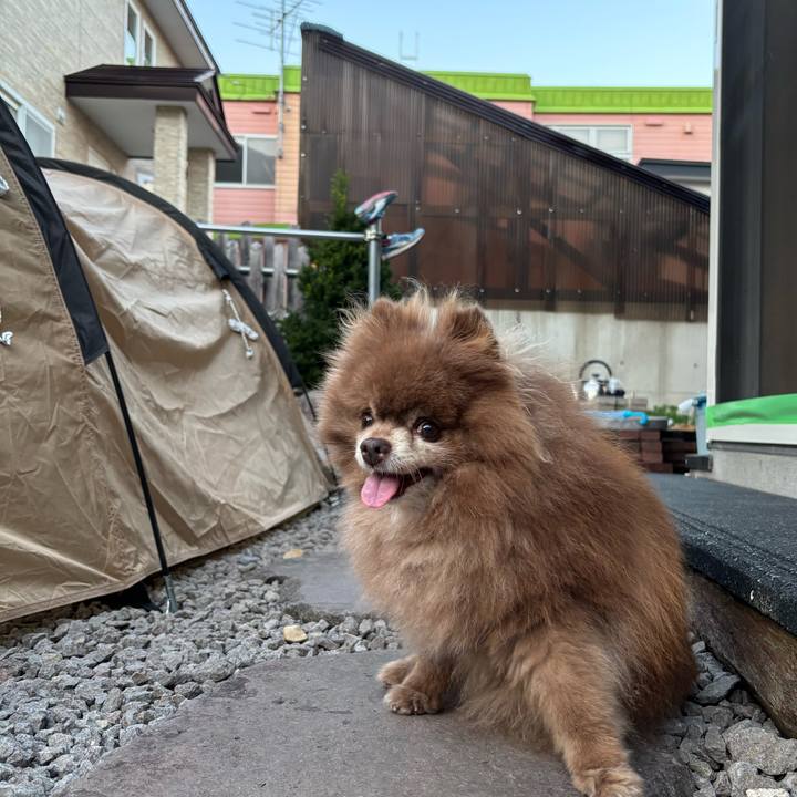 4b2c6074 89d2 4857 83a4 673be598b38e 1754818569252