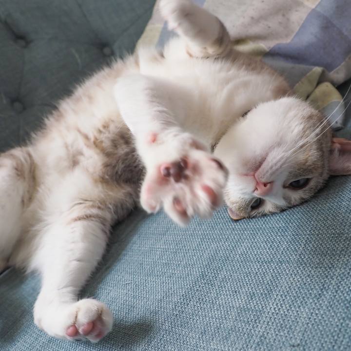 4b2c677e 0a36 4d28 b9de 021885aca834 1653371509902