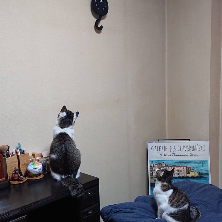 4b2c7365 c8eb 446b 8975 5d9c7802ee7c 1559955423260