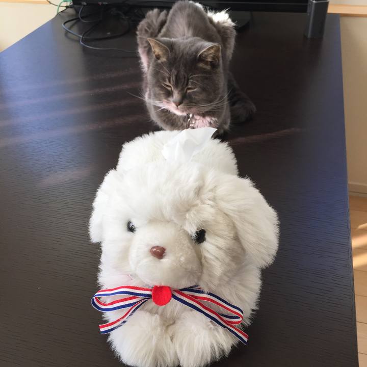 4b2ca55f a9d9 4064 b361 0c52cb4e5516 1543710476224