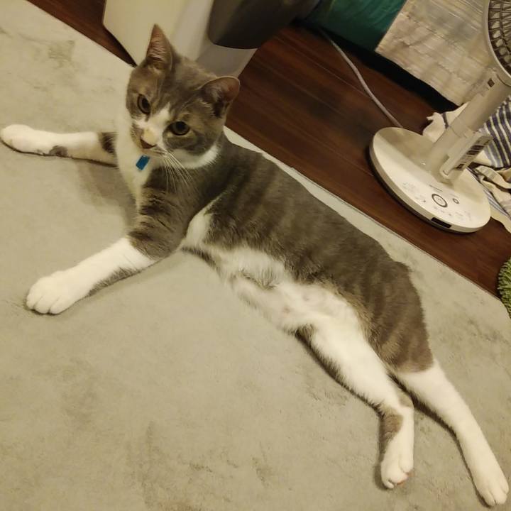 4b2cdc5b 1316 4a4d ad88 f1c93d5b364b 1595337697678