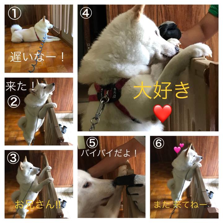 4b2cfe1b bb59 4844 8141 1259e05df90f 1537264643867