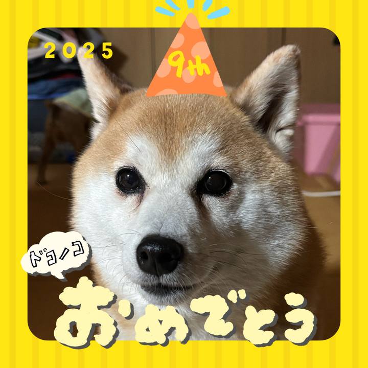 4b2d15b1 3f84 47b8 b89f 263568387077 1749158130836