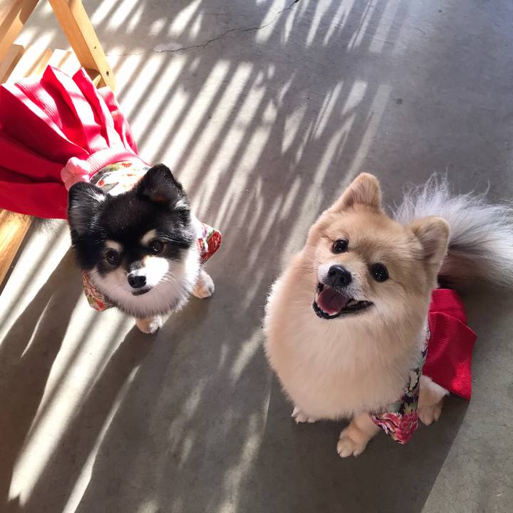 4b2d34bf 24c9 421a b2e1 7dd1fb6eb388 1610341355701