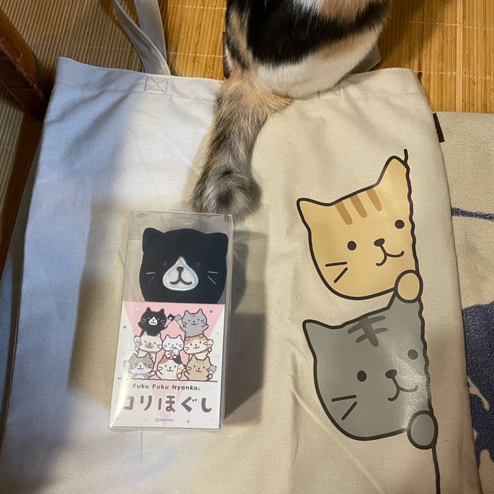 4b2d3a88 2671 4ebb 9c60 442cf1416b5b 1663672320230