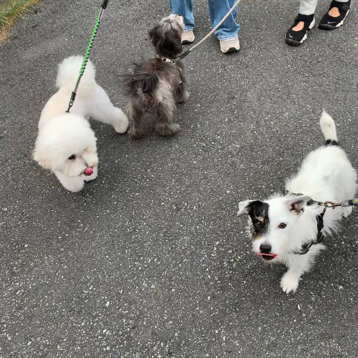 4b2d4c51 ac14 437a 96b7 5ecfa17359d3 1729035011464