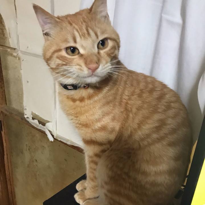 4b2d6ba7 b66f 4e08 aad9 42d179738129 1647815324388