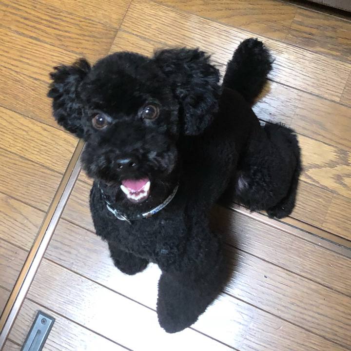 4b2dad3c b1ae 4fb8 93ad 7beada80a8dc 1535408758037