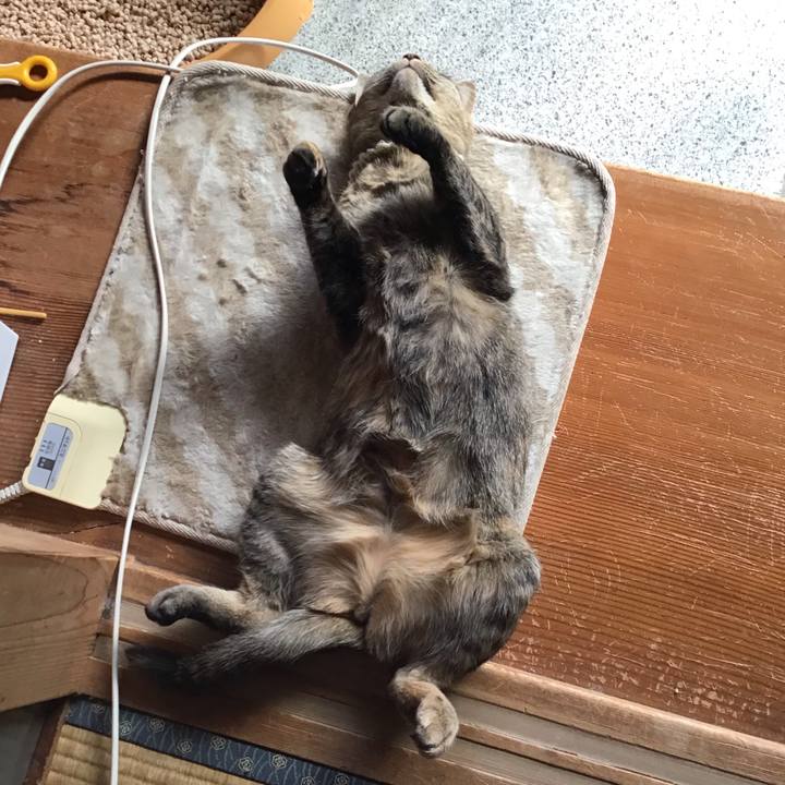 4b2de161 ab69 4d88 bf60 e55a9d7518ac 1646455078649