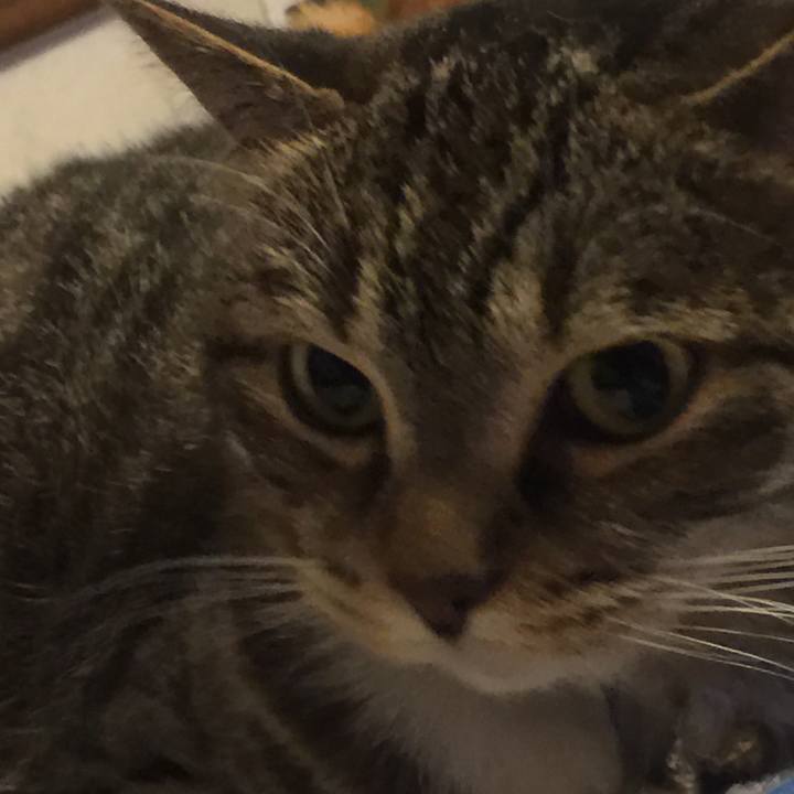 4b2e2ef9 dd06 4fd9 835b fb476a1e9055 1562596160190