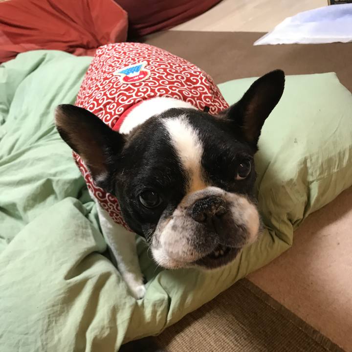 4b2e46dd 9e8f 4f01 a9ca eab2aaf72fea 1512822961212