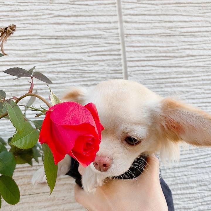 4b2f2349 af49 4f37 80f3 d3d72617c348 1610950567213