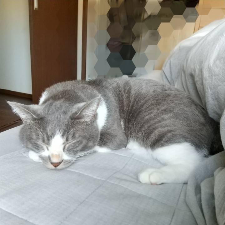 4b2f2caa 08c5 4616 8a1e 0be5b0e7a492 1636274773776