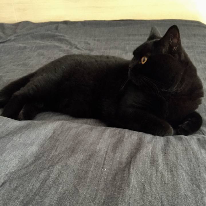 4b2f3965 3fbf 48f5 b9f0 013af4f21c7a 1515243872401