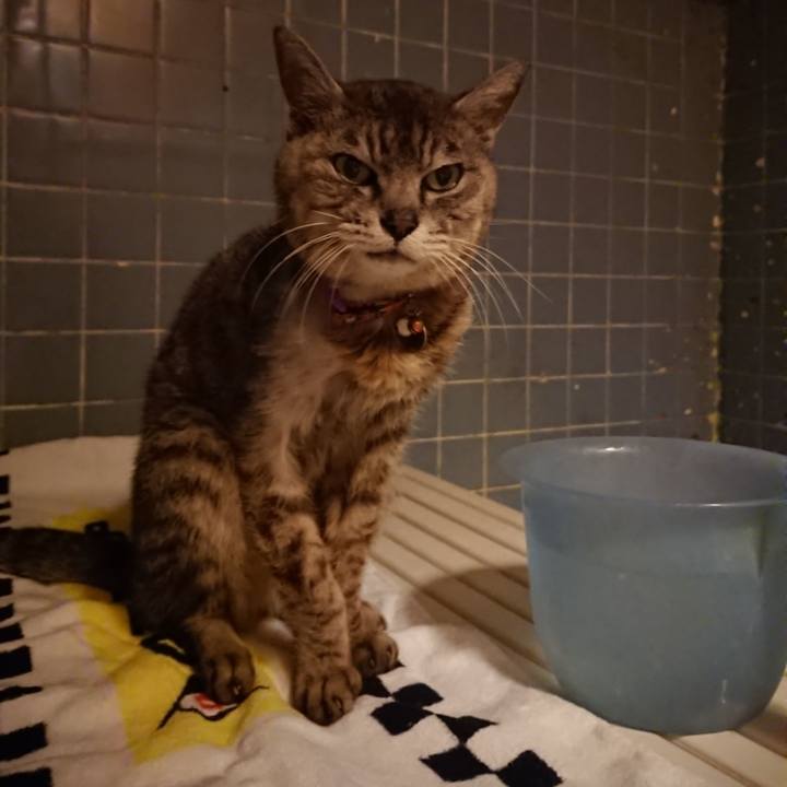 4b2f6cff 8aec 4acb 86a7 add02114be32 1596796203456