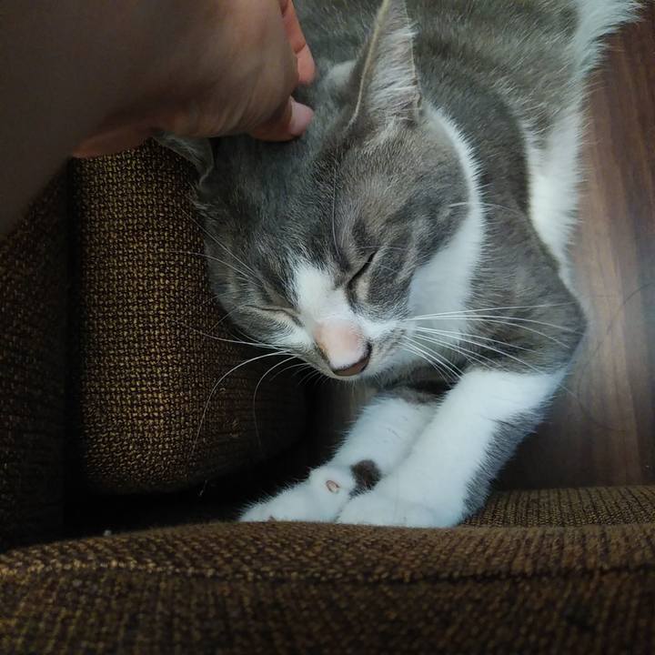 4b2f6d00 0d43 4d83 88db 120d7266421b 1593646898335