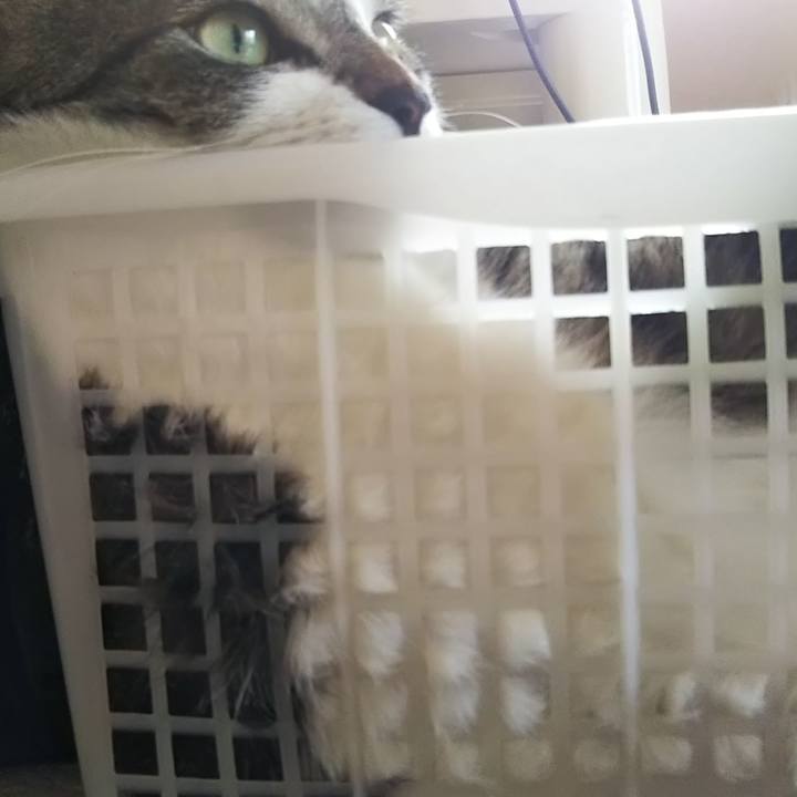 4b2f6dd9 ba95 40b2 b2bf 8bf1ca0392aa 1602417655054