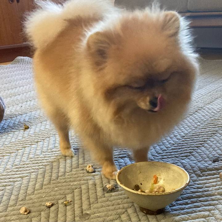 4b2f8e73 6a54 4a07 9ef3 a9019de244f6 1704772135282