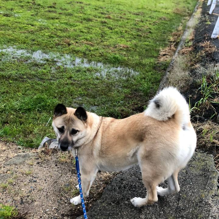 4b2f93c0 2533 41cb 9c26 ba20b5675f6e 1620818758214