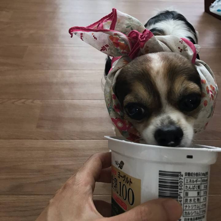 4b2f9f4c 91d1 4bf6 ac91 959ddf44fb35 1559777279078