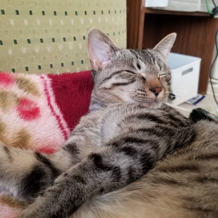 4b2fa922 5c64 48a8 85e2 4994359a284f 1670028813130